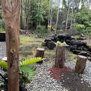 Country house Exotic Garden At Amazing Volcano Fissure, Mountain View